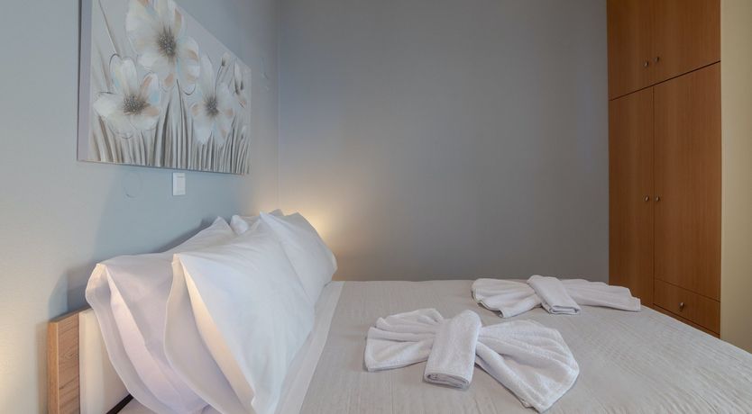 Photo of Phoenix Palms