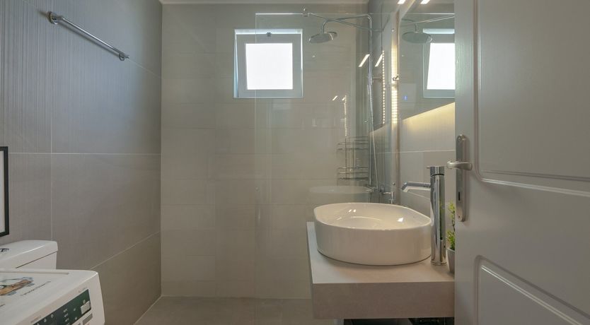 Photo of Phoenix Palms