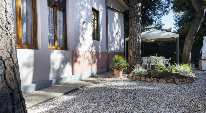 Photo of Sea Air & Leaves