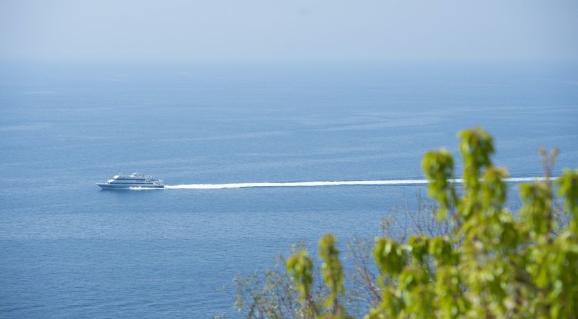 Photo of Blissful Breeze