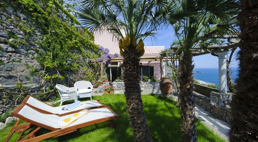 Photo of My Heart Has Wings