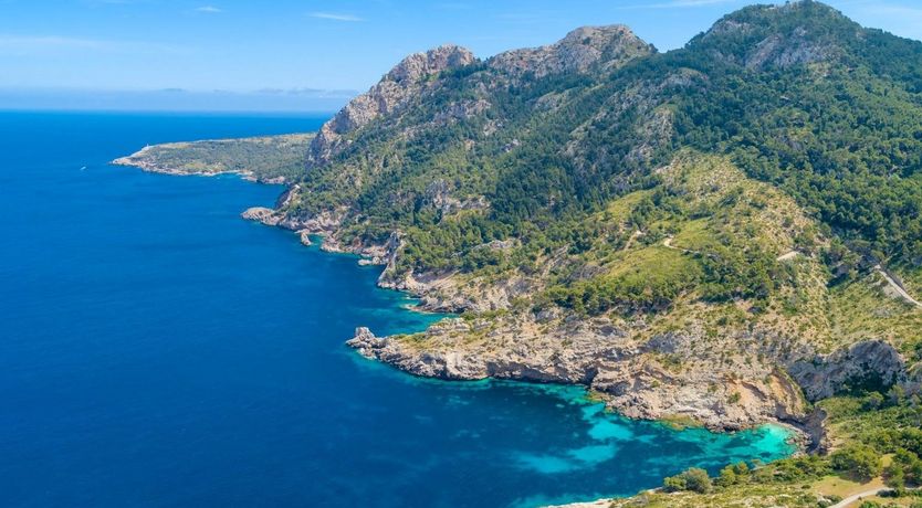 Photo of Natural Blue