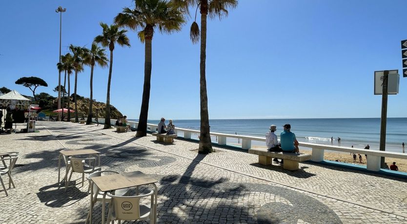 Photo of Mellow in Yellow