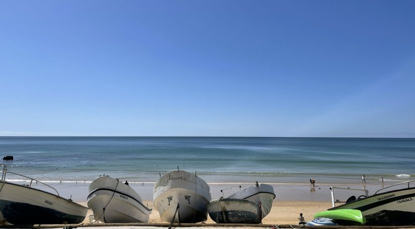 Photo of Mellow in Yellow