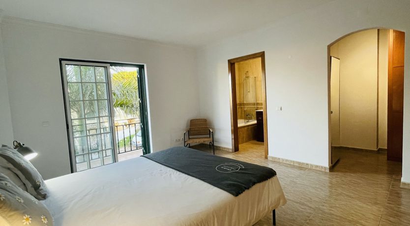 Photo of Mellow in Yellow