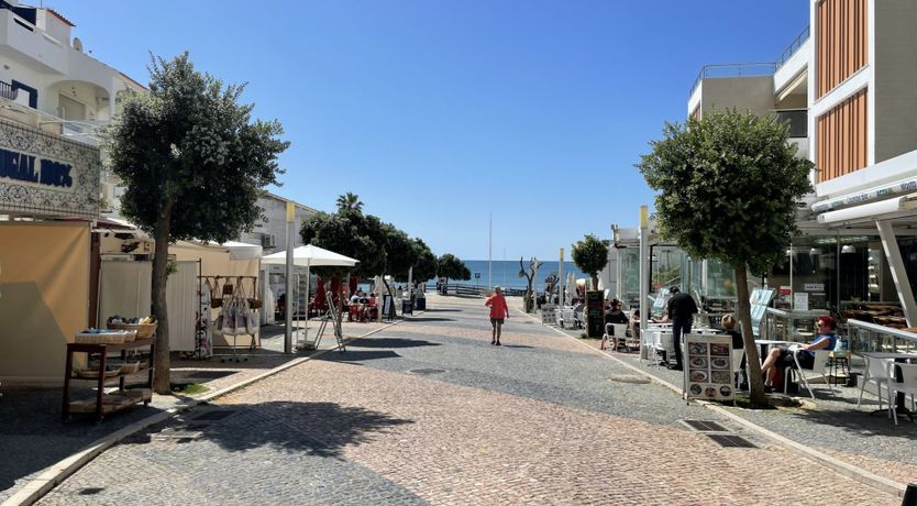 Photo of Mellow in Yellow