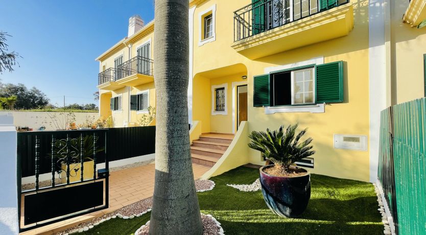 Photo of Mellow in Yellow