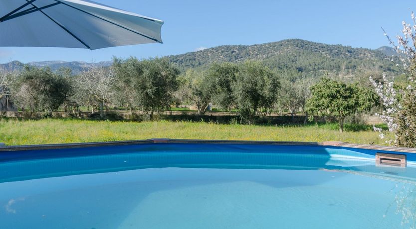 Photo of This Lucky Life