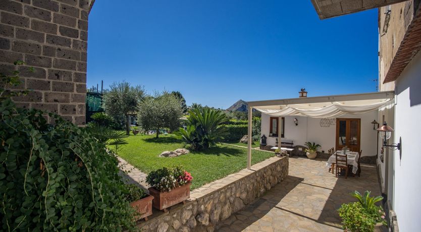 Photo of Mimosas on the Amalfi