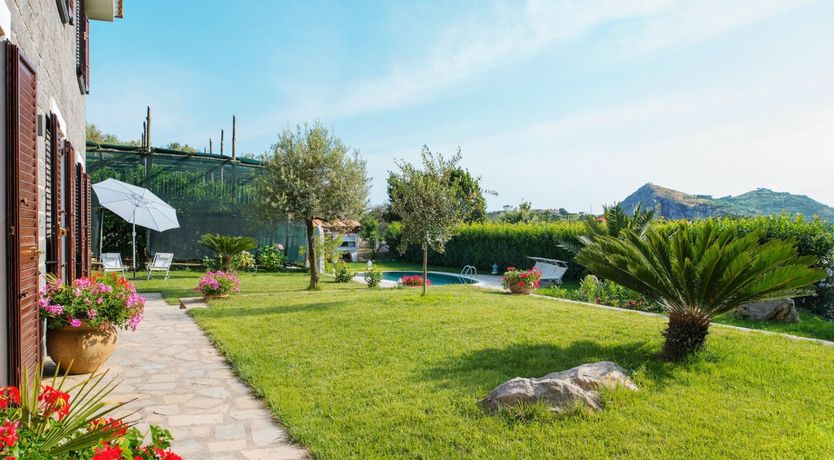 Photo of Mimosas on the Amalfi