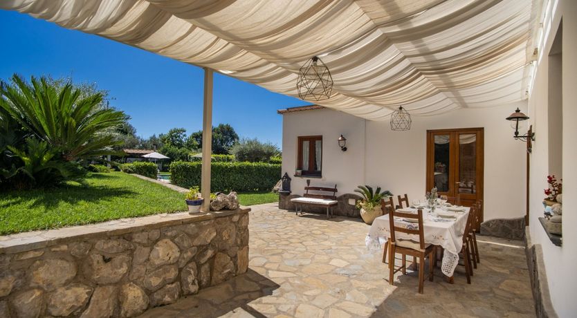 Photo of Mimosas on the Amalfi