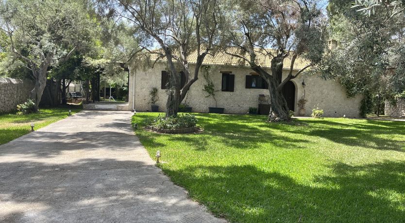 Photo of Pines & Lemons