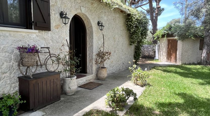 Photo of Pines & Lemons