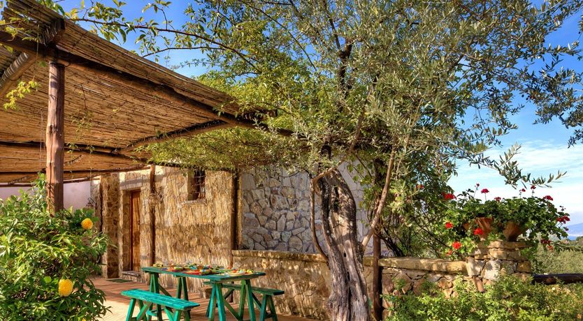 Photo of Vision of Beauty