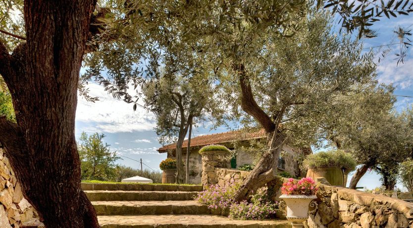 Photo of Vision of Beauty