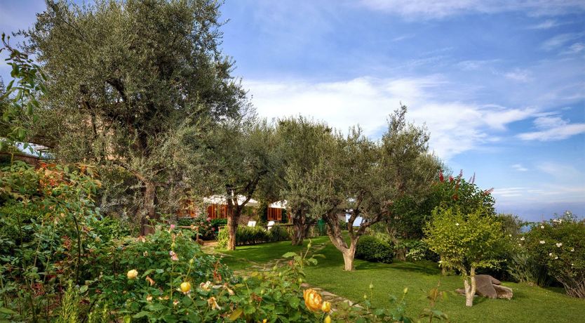 Photo of Vision of Beauty