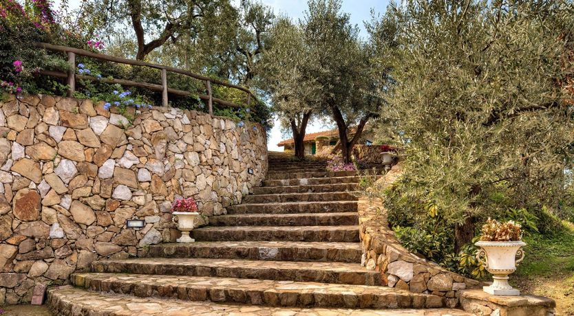 Photo of Vision of Beauty