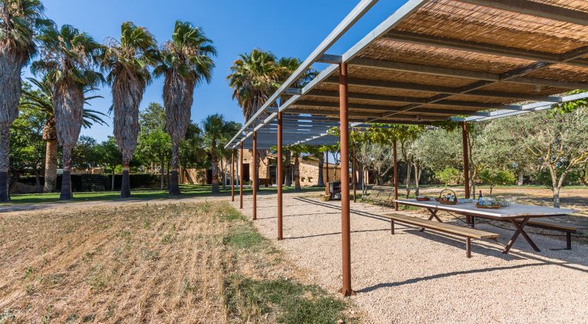 Photo of Barefoot on the Stone