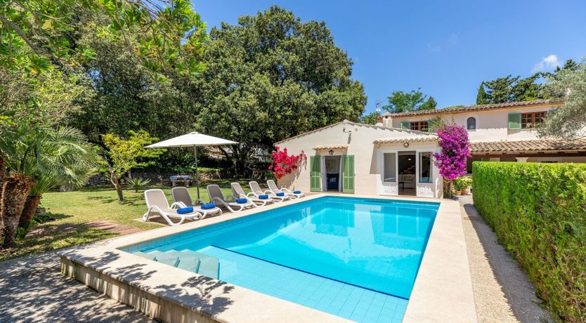 Photo of Fruit from the Garden