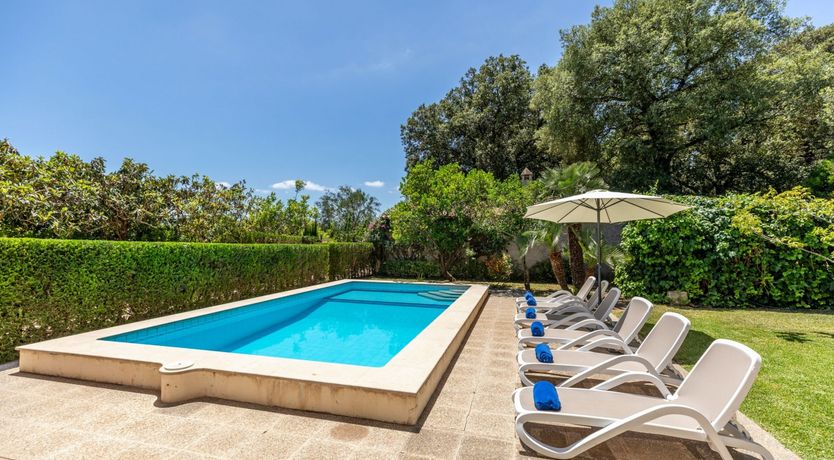 Photo of Fruit from the Garden