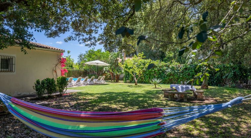 Photo of Fruit from the Garden