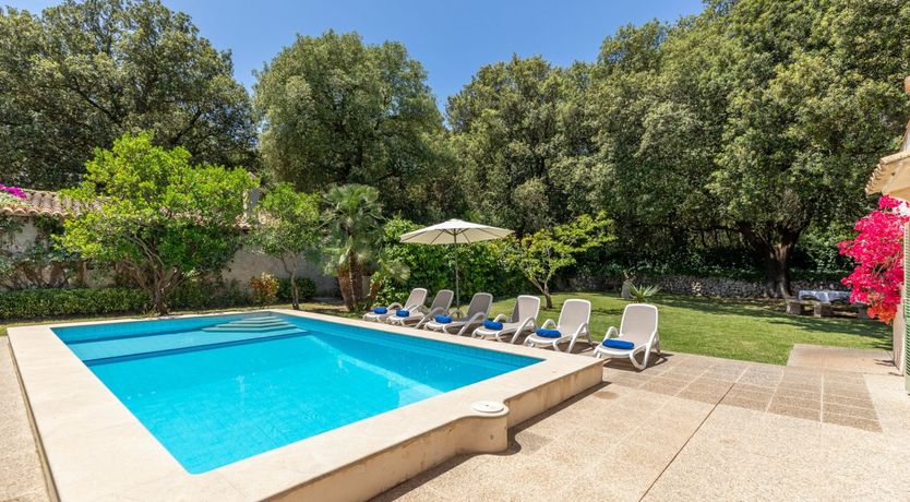 Photo of Fruit from the Garden