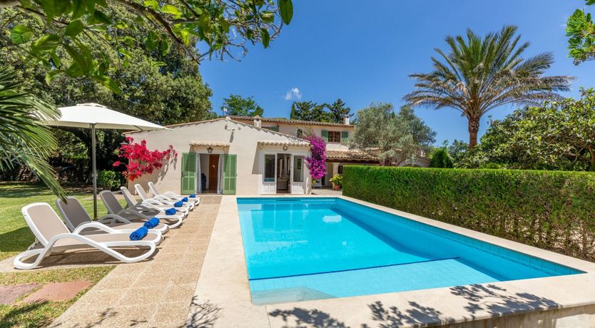 Photo of Fruit from the Garden