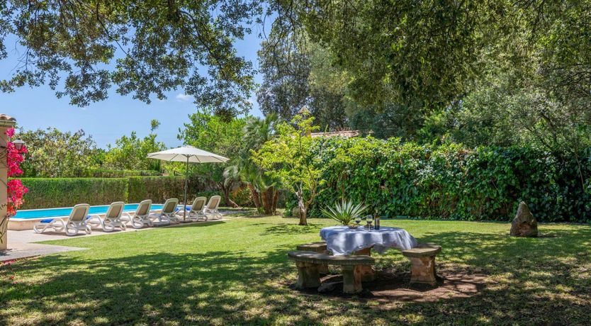 Photo of Fruit from the Garden