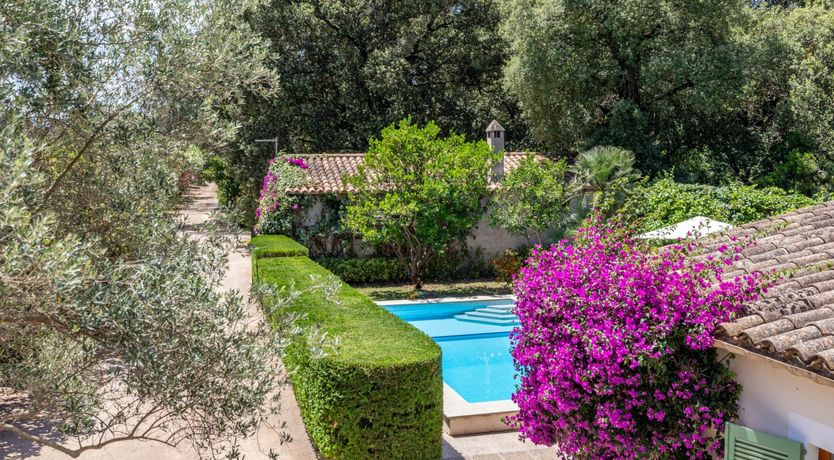 Photo of Fruit from the Garden