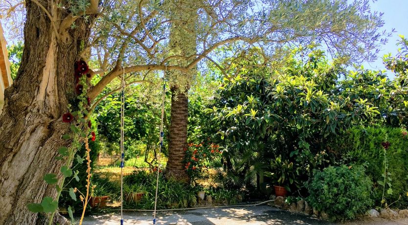 Photo of Fruit from the Garden