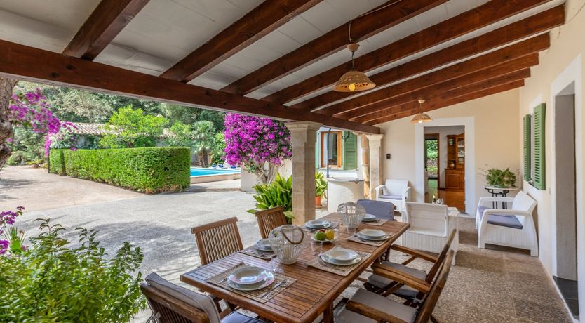 Photo of Fruit from the Garden