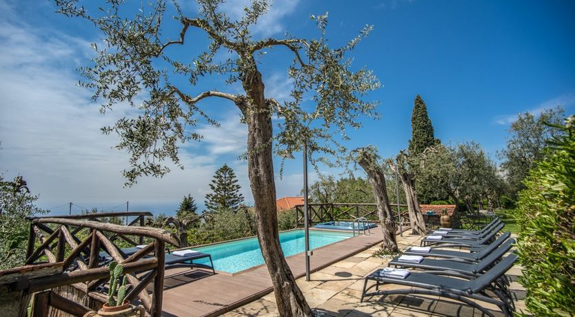 Photo of Whispering Wisteria