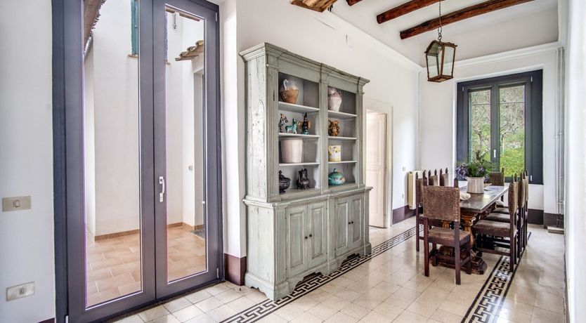 Photo of Whispering Wisteria