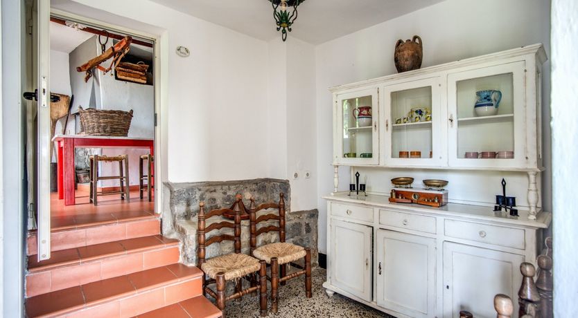 Photo of Whispering Wisteria