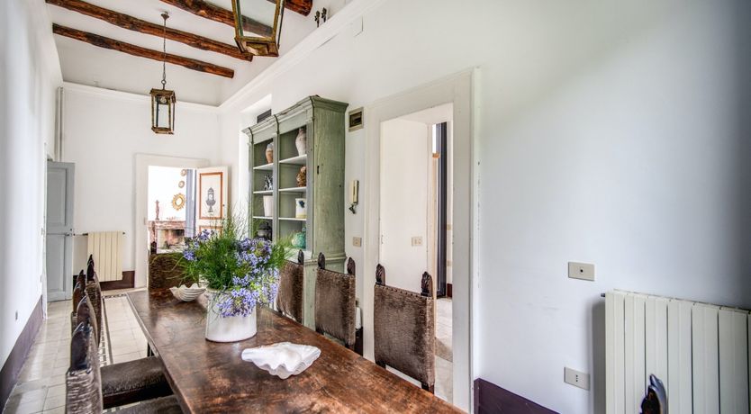 Photo of Whispering Wisteria