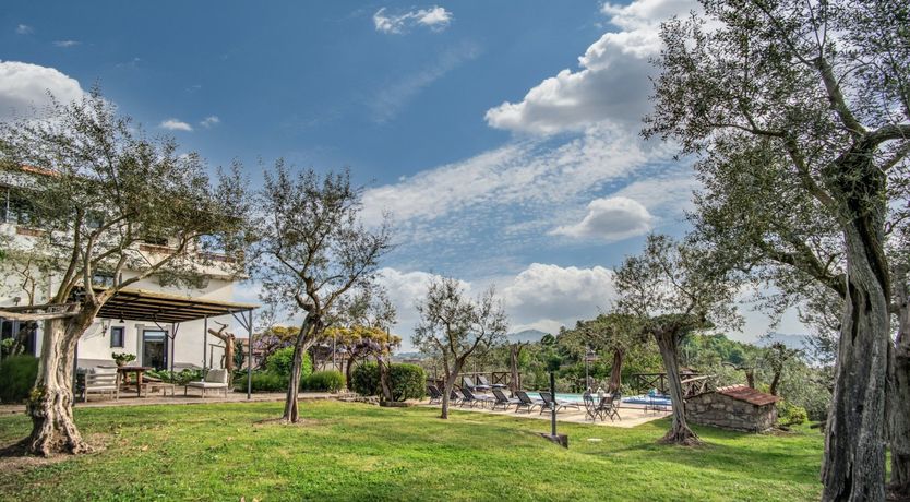 Photo of Whispering Wisteria