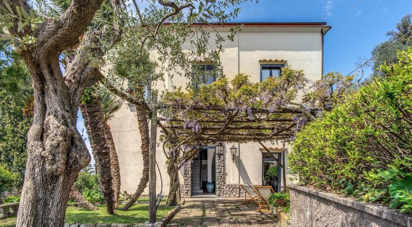 Photo of Whispering Wisteria