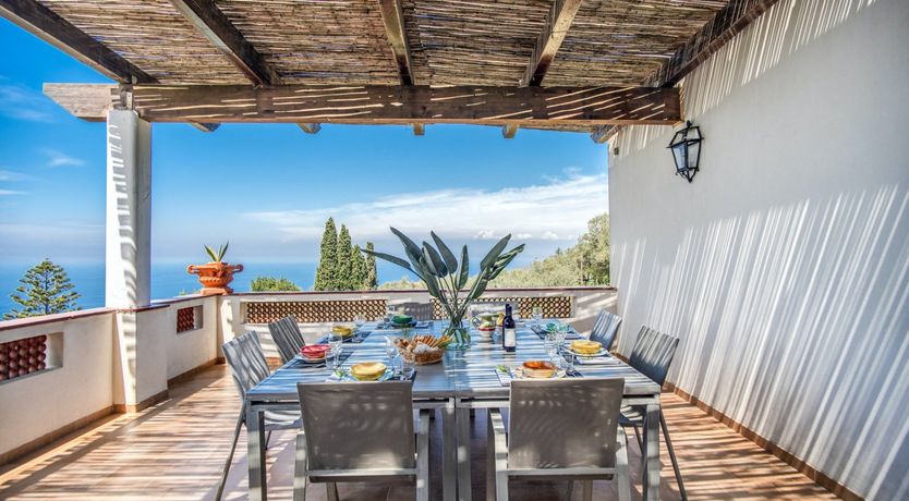 Photo of Whispering Wisteria