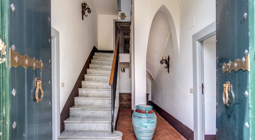 Photo of Whispering Wisteria