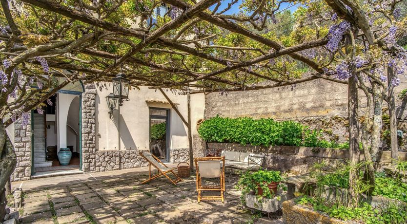 Photo of Whispering Wisteria