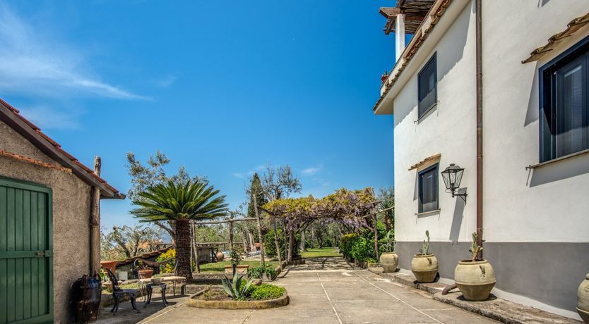 Photo of Whispering Wisteria