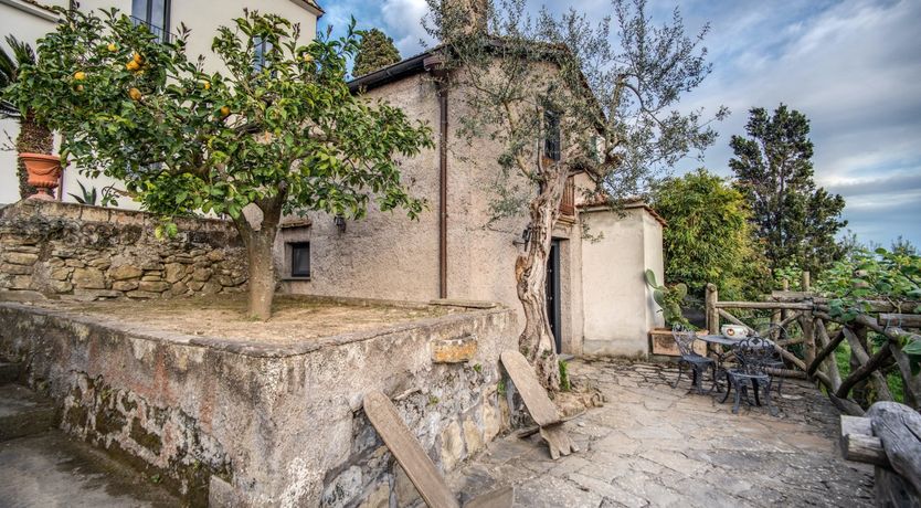 Photo of Whispering Wisteria