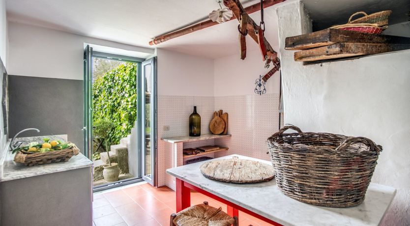 Photo of Whispering Wisteria