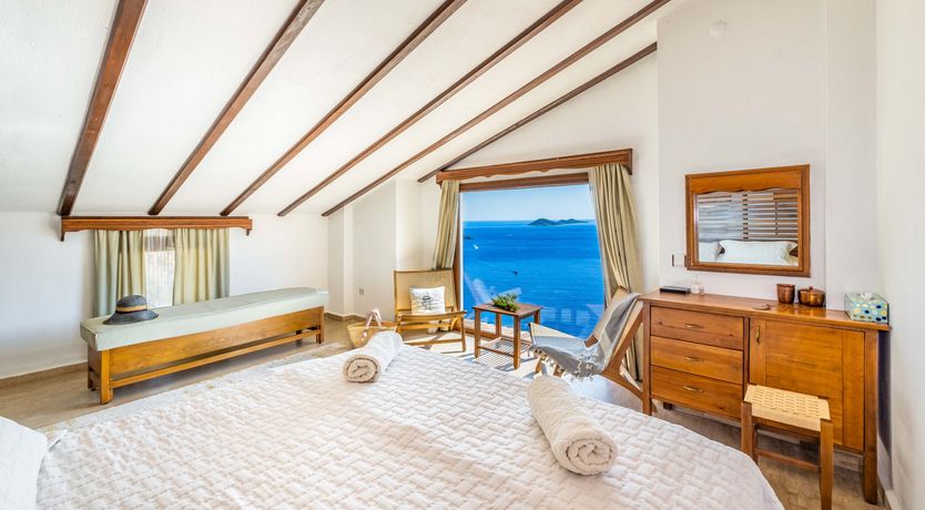 Photo of Olive Tree Sunset