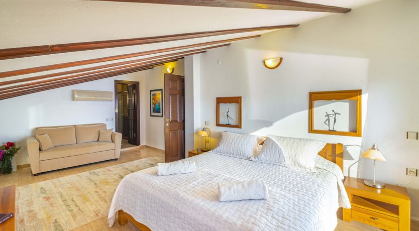 Photo of Olive Tree Sunset