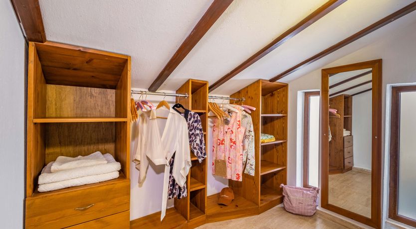 Photo of Olive Tree Sunset