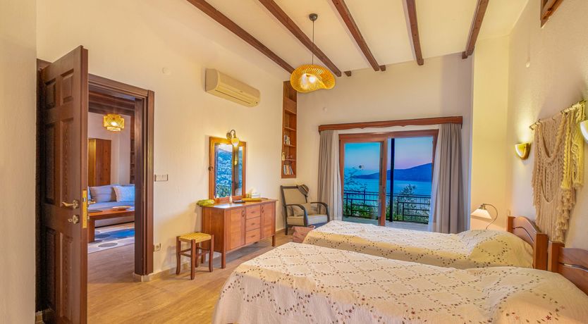 Photo of Olive Tree Sunset