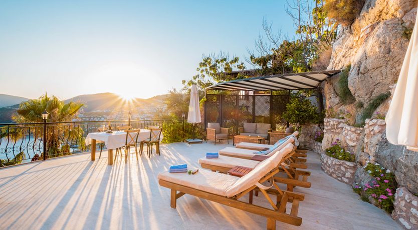 Photo of Olive Tree Sunset