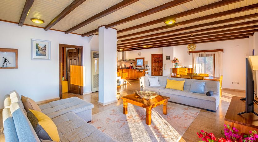 Photo of Olive Tree Sunset