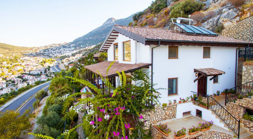 Photo of Olive Tree Sunset